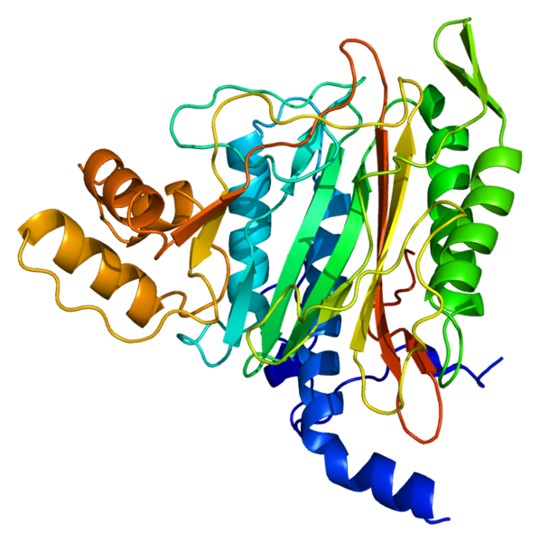 Methionine aminopeptidase 2. Source: PDBbot. http://bit.ly/IP0hBW